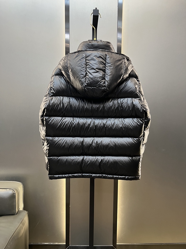 ハイクオリティダウンジャケット全体デザイン